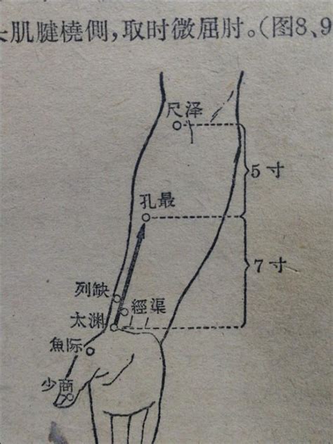 尺澤穴功用|尺澤:名稱釋義,定位,解剖,主治,操作,臨床運用,配伍,功效,附註,相關。